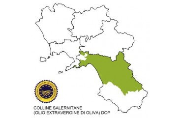 OLIO COLLINE SALERNITANE DOP